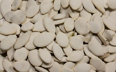 Delicious Roasted Salted Snow White Pumpkin Seeds 0.25 2 LBS FREE SHIPPING $12.99