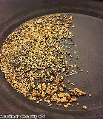 #ad 10 Ounces of Guaranteed Gold Panning Paydirt Pay dirt Concentrates Nugget $19.99