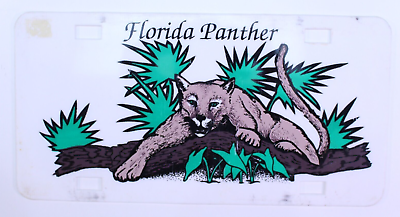 #ad VTG Florida Panther Plastic License Plate Auto Car Show Classic Booster Protect $52.49