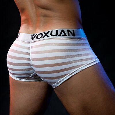#ad Men#x27;s Sexy Underwear Transparent Underpants Boxers Mesh Shorts Small Briefs $4.66