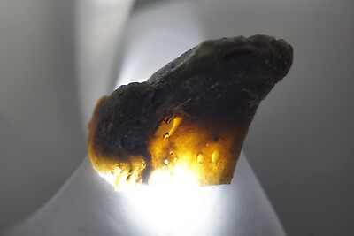 #ad Darwin Glass 13g Austalite Darwinite tektite impactite #big49 $26.00