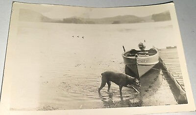 #ad Antique Outdoor Boat Small Dock Lake Landscape Pet Dog amp; Ducks Snapshot Photo $31.49