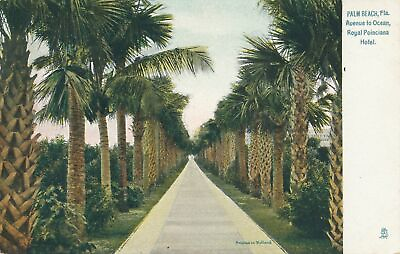 #ad PALM BEACH FL Royal Poinciana Hotel Avenue To Ocean Tuck Postcard udb pre 1908 $6.53