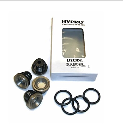 #ad Hypro AR D50 Valve Repair Kit 9910 KIT1920 SET OF 4 VALVES $90.00