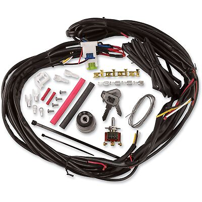 #ad Cycle Visions Custom Wire Harness CV 4869 $184.53