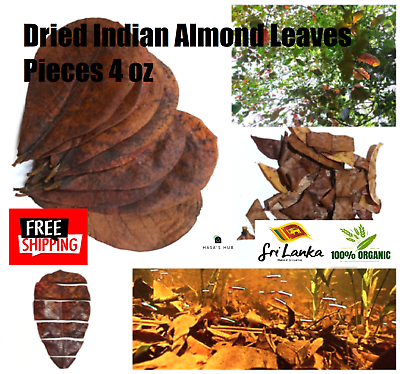 #ad 4 oz Dried Indian Almond Leaves Pieces Ketapang CATAPPA For Betta FishShrimp $31.99