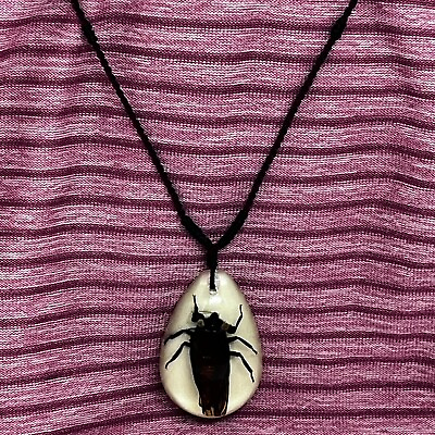 #ad Huechys Sanguinea Insect Glow Pendant Necklace in Resin Specimen Collection $9.00