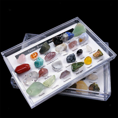 #ad 24X Rock Quartz Mineral Collection Display Case Science Teaching Geography Stone $8.99
