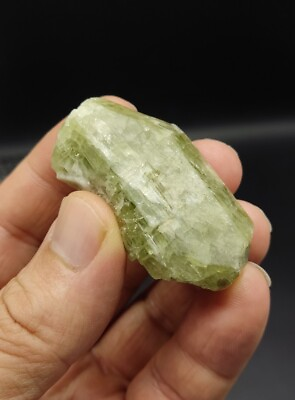 #ad Green Diopside crystal 48 grams $22.60