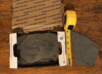 #ad 2 Pounds Of Individual Pieces of natural slate stone aquarium Crafts Project $11.50
