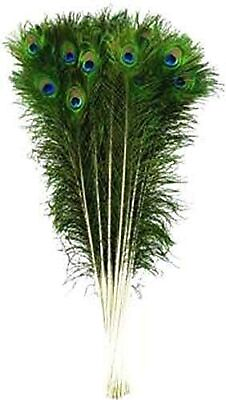 #ad Peacock Feather Full Length Original Size 30 Inch 12 pcs $38.28