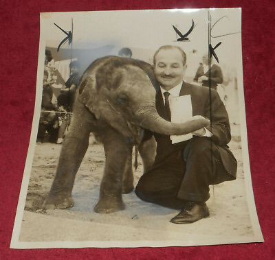 #ad 1964 Press Photo San Francisco News Call Columnist Jack Rosenbaum Baby Elephant $13.11