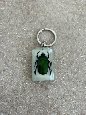 #ad REALBUG Green Chafer Beetle Key Chain Glow In The Dark $14.99