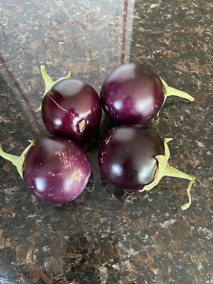 #ad 50 Black Beauty Eggplant Seeds Grown Organically Free Shipping in Reg. Envelope $2.25