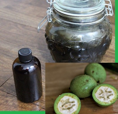 #ad Black Walnut Extract 4 oz Organic Juglans nigra Ripe Green Hulls Tincture $17.99