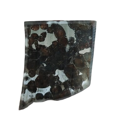 #ad 15.3g SERICHO pallasite Meteorite slice CA151 $30.80