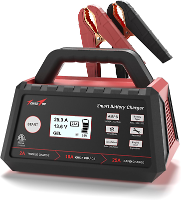 #ad 2 10 25 Amp 12V Smart Car Battery Charger Fully Automatic Battery M... $112.99
