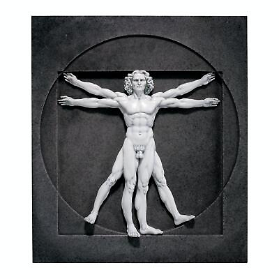 #ad Design Toscano Vitruvian Man Wall Sculpture $77.90
