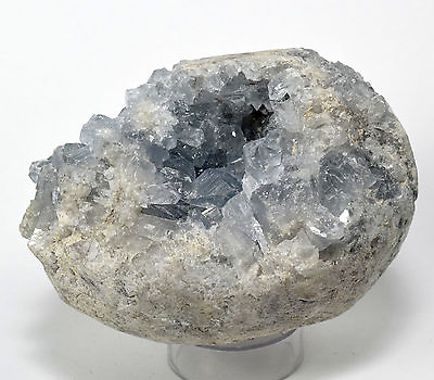 #ad 3.4quot; Ice Sky Blue Celestite Egg Natural Druzy Crystal Mineral Stone Madagascar $39.96
