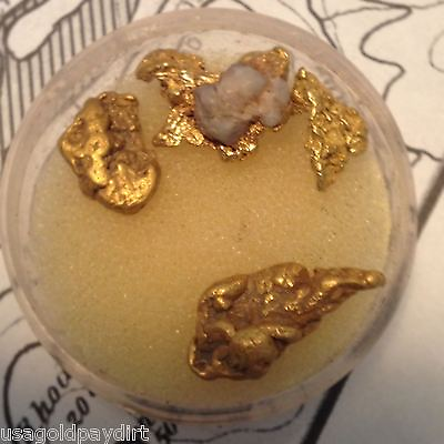 #ad Gold Paydirt 2 lbs 100% Unsearched and Guaranteed Added GOLD Panning Nuggets $25.50