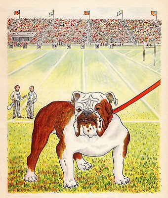 #ad Vintage 1950s Bulldog Print Wall Art A M Jauss Bulldog Illustration 5364c $15.25