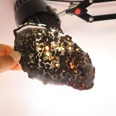 #ad 82g Slice meteorites Rare slices of Kenyan Pallasite olive meteorite B2971 $175.20