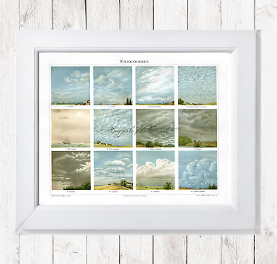 #ad Meteorology Types of Clouds Poster Weather 12 Little Landscapes Wall Art $106.00