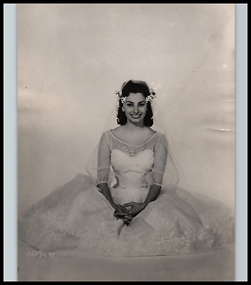 #ad HOLLYWOOD BEAUTY SOPHIA LOREN STUNNING PORTRAIT 1960s STYLISH POSE Photo 185 $89.99
