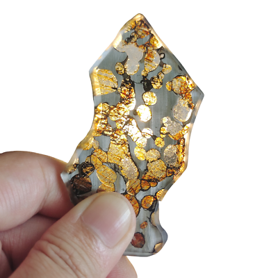 #ad 19.2G seymchan meteorite slice TA245 $78.32