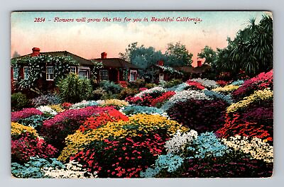 #ad Flowers Will Grow Like This For You In California Antique Vintage Postcard $7.99