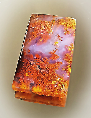 #ad Rectangle Autumnal Agate Cabochon High Quality Hand Polished 100% Natural $25.00