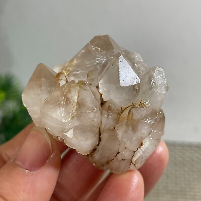 #ad 63g Natural white crystal cluster ore specimen decoration quartz heal b2812 $11.50