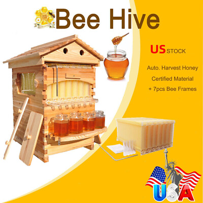 #ad #ad Auto Flow Full Set 7PCS Beehive Honey Hive Frame Cedarwood Beekeeping Brood Box $192.80