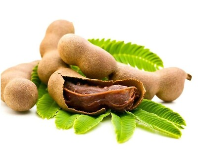#ad Organic Quality Herbal 100% Pure Natural Dried Tamarind Leaves Ceylon Premium $199.00