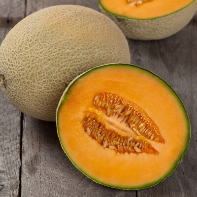 #ad Hales Best Cantaloupe Seed NON GMO Hales Best Jumbo Cantaloupe 25 Seeds $1.99
