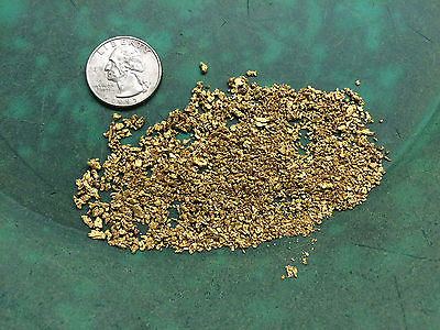 #ad Rich GOLD PAYDIRT XL Nugget Now offering PREMIUM PAYDIRT panning flakes $46.00