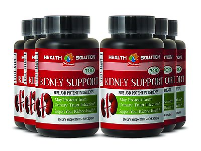 #ad Cranberry Powder KIDNEY SUPPORT 700mg Strengthens Bones and Teeth 6B $99.56