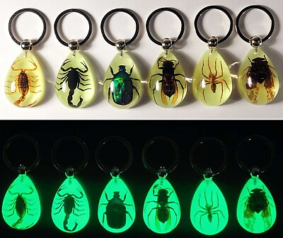 #ad Real Insect Scorpion Chafer Beetle Glowing Keychain Glow in Dark Tear Drop Shape $7.15