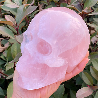 #ad 5.34LB Natural pink rose crystal quartz skull hand Carved crystal healing 56 $259.00