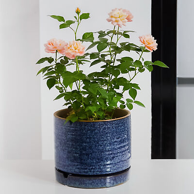 #ad Pottery 8quot; Toramina Ceramic PlanterTealFlower Pot $13.87