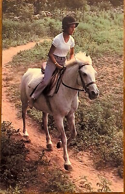 #ad Cantering on a White Mare ; Girl Horseback Riding ; Vintage Postcard $4.50