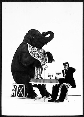 #ad Buster Keaton 1964 Photo 1984 Postcard Elephant 4 1 4quot; x 6quot; NP $6.99