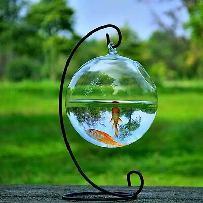 #ad Black Hanging Fish Bowl Tank With Stand Fish Small Table Glass Fish Bowl Vase $12.00