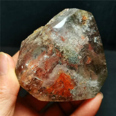 #ad Rare241G Natural Clear Rainbow Crystal Quartz Appreciating Stone Healing WYY1967 $161.99