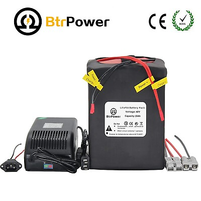 #ad 60V 20Ah Lithium Lifepo4 Battery Pack 1800W for Motor Scooter EBike 50A BMS $389.99