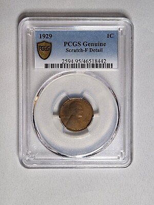 #ad 1929 PCGS Genuine Scratch F Detail Brown $150.00