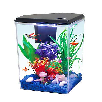 #ad Plastic 2.5 Gallon Aquarium with Accessories Black12.23#x27;#x27;L x 9.16quot;W x 11.22#x27;#x27;H $22.50