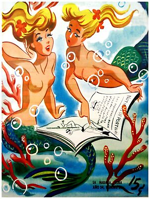 #ad 7723.Decorative quality Poster.Interior room design wall art.Mermaids in love $31.00
