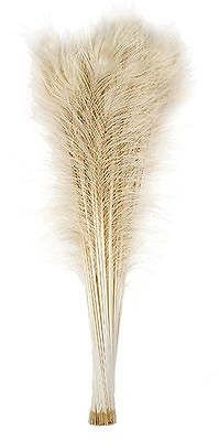 #ad 200 Pcs BLEACHED PEACOCK TAILS Feathers 35 40quot; Crafts Halloween Mardi Gras Hats $155.99