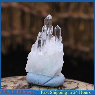 #ad Natural Clear Quartz Cluster Crystal Meditation Energy Gemstone Decor Healing US $8.54